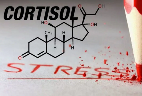 Акции лаборатории «Ника Спринг»