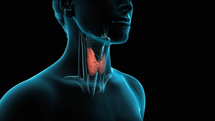 Здоровье щитовидной железы: ТТГ, СТ4 - 550 р.