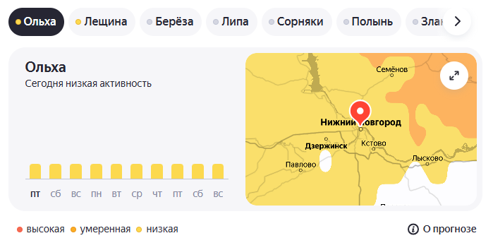 Ольха 27.03.26.png Ольха 27.03.26.png