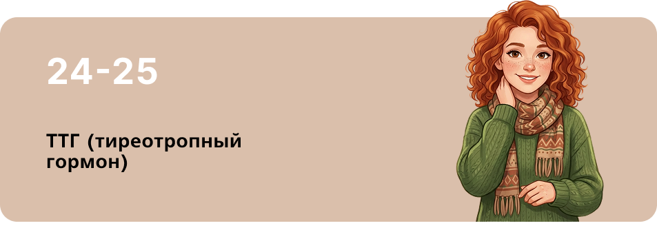 07_ТТГ (тиреотропный гормон).png