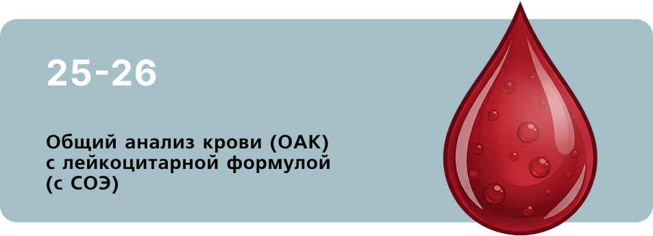 09_Общий анализ крови.png