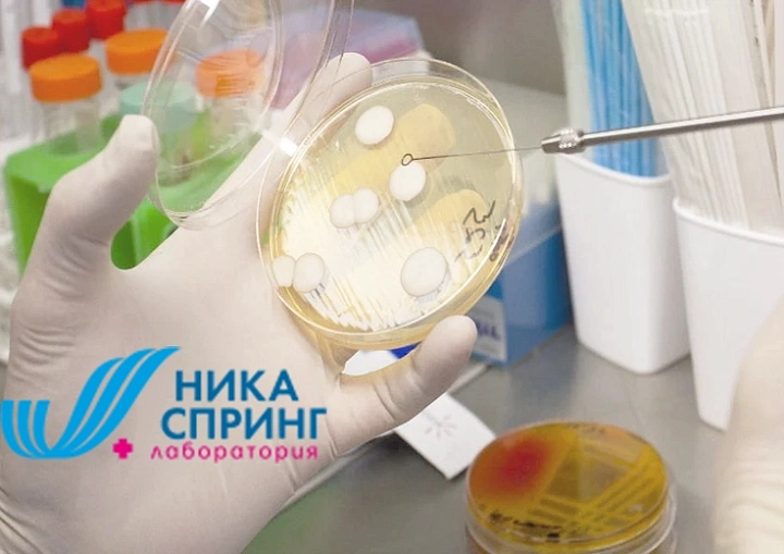 Изображение для категории Бактериология