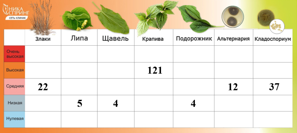 11.07.25.jpg 11.07.25.jpg