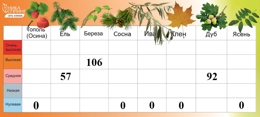 Пыльца_070525.jpg Пыльца_070525.jpg