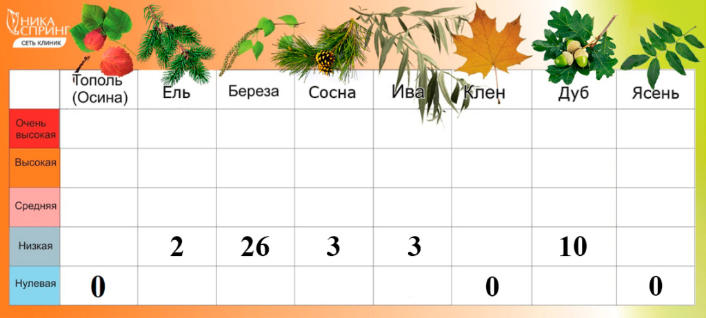 Пыльца_150525.jpg Пыльца_150525.jpg