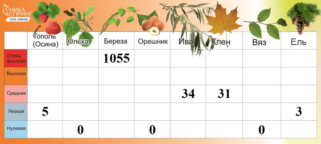 Пыльца 290425.jpg Пыльца 290425.jpg