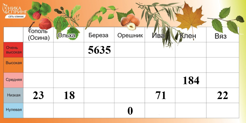 Пыльца 230425.jpg Пыльца 230425.jpg