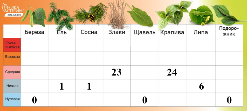 Пыльца_300625.jpg Пыльца_300625.jpg