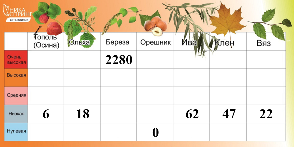 Пыльца 250425.jpg Пыльца 250425.jpg