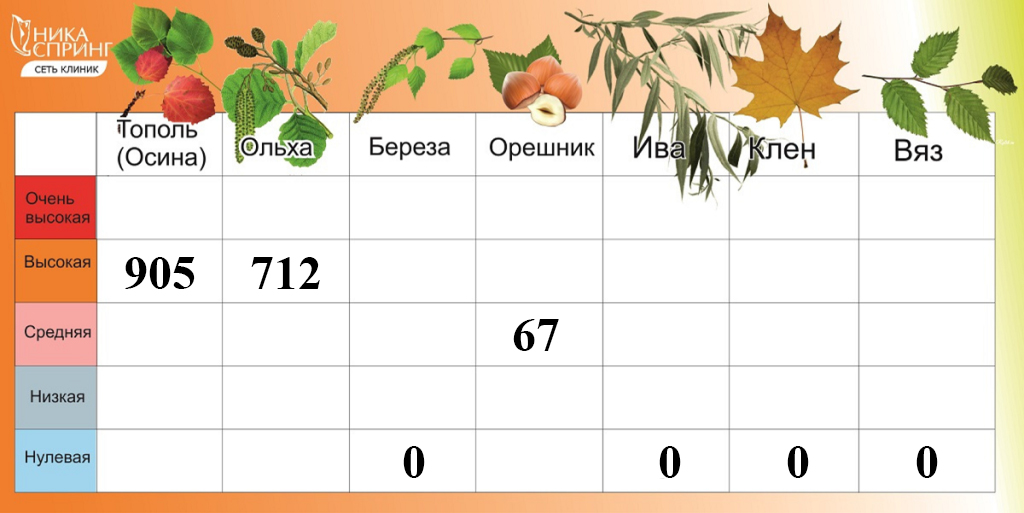 Пыльца 040425.jpg Пыльца 040425.jpg
